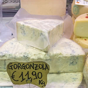 Italy, Florence. Blocks of gorgonzola cheese for sale in the Central Market