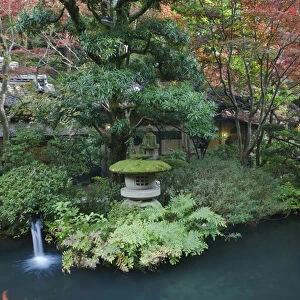 Japan, Tokyo, Japanese Garden