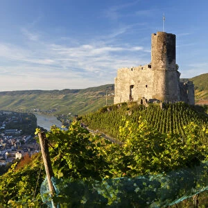 Landshut castle above Mosel River, Bernkastel-Kues, Rhineland-Palatinate, Germany