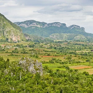 The limestone cliffs of the Vinales Valley, Valle de Vinales in Pinar del Rio, Cuba