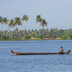 Man rowing a long wooden canoe, Backwaters, Kerala, India