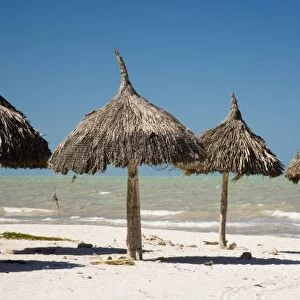 Mexico, Yucatan Peninsula, Progreso. Thatch palapa made from Mexican palm leaves