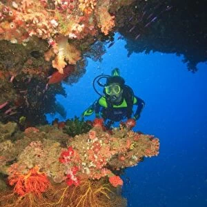 MR Diver near large Soft Coral-lined underwater Arch near Beqa Island off Southern Viti Levu