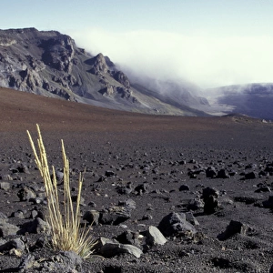 N. A. USA, Hawaii, Maui, Haleakala Nat l Park Mist rises over edge of crater