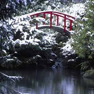 N. A. USA, Washington, Seattle. Moon bridge in Kabota Gardens in winter