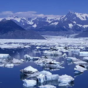 NA, USA, Alaska, Prince William Sound, Chugach Mountains Massive icebergs