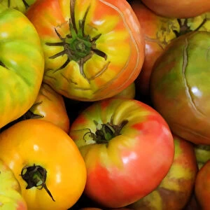 North America, USA, Georgia; Savannah; Organic tomatoes at a farmers market