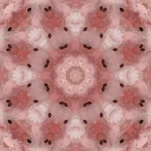 Pink and grey kaleidoscope abstract