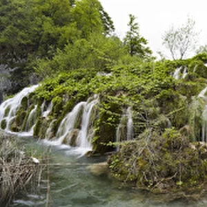 The Plitvice Lakes in the National Park Plitvicka Jezera in Croatia. The lower lakes