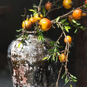 Pomegranate grown from a wine jar, Tangqi Ancient Town, Hangzhou, Zhejiang Province
