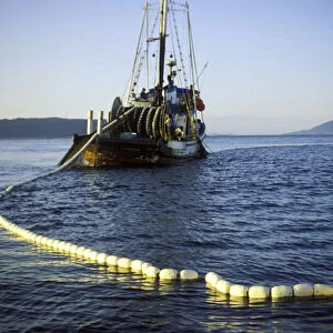 Purse Seining commercial fishing boat letting out the net in Pudget Sound, Washington