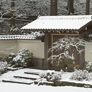 Rare snow at the Portland Japanese Garden, Oregon
