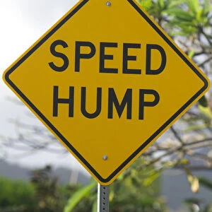 Road sign warnig of speed hump on the island of Kauai, Hawaii, USA