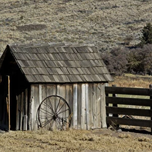 Shed and wheel, James Cant Ranch, John Day Fossil Beds, Oregon, USA