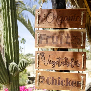 Sign for farm produce. Cabo San Lucas, Mexico