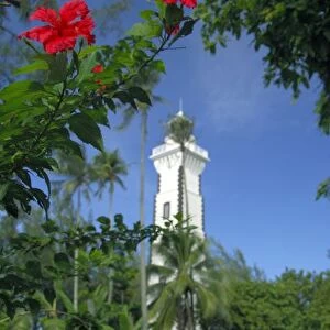 South Pacific, French Polynesia, Tahiti. Hibiscus in front of Venus Point Lighthouse