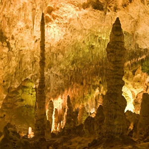 Stalactite, stalagmite, and column formations in the wondrous 8. 2-acre Big Room cave