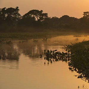 Sunrise on Cuiaba River, Northern Pantanal, Mato Grosso, Brazil