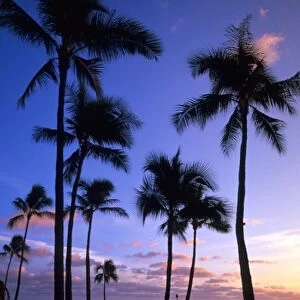 Sunset on Waikiki beach Oahu, Hawaii, USA