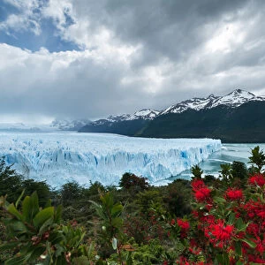 Terminal Face of the Perito Moreno Glacier, Patagonia, Argentina