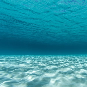 Underwater photograph of a textured sandbar in clear blue water near Staniel Cay