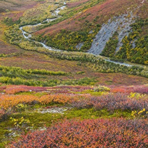 USA, Alaska, Brooks Range. Tundra and Dietrich River