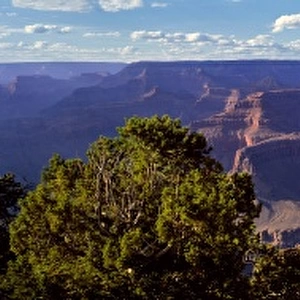 USA, Arizona, Grand Canyon NP. Soft afternoon light colors the scene from Mather Point