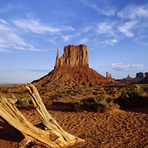 USA, Arizona and Utah, Mitten Butte and Bleached wood, Monument Valley, Navajo Tribal