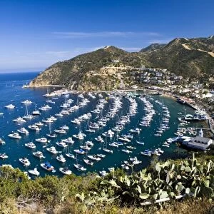 USA, Catalina Island. View overlooking Avalon harbor from the north side. The Wrigley