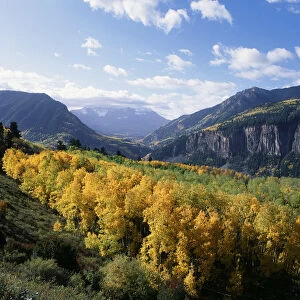 USA, Colorado, View of San Juan Mountains Range with aspen trees in autumn