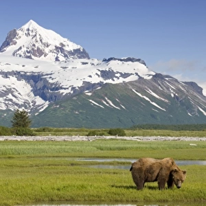 USA, North America, Alaska