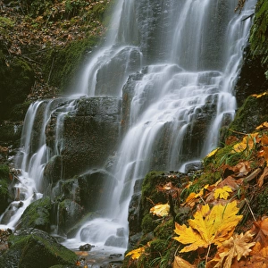 USA, Oregon, Fairy Falls, Columbia River Gorge National Scenic Area