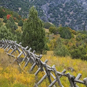 USA, Utah, Wasatch Mountains. Fence and meadow landscape