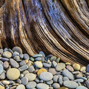 USA, Washington, Olympic National Park. Beach rocks and driftwood