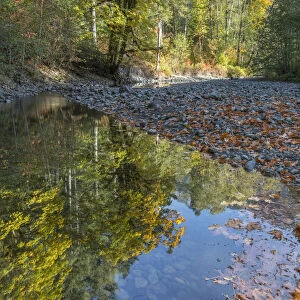 USA, Washington State, Olympic National Forest. Fall forest colors reflect in water