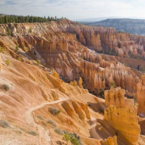 UT, Bryce Canyon National Park, Bryce Amphitheater and Navajo Loop trail, view