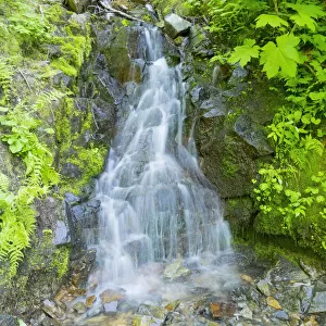 Washington State, Central Cascades, Waterfall, on trail to Annette Lake