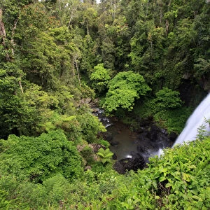 Zillie Falls is one of three popular waterfalls on the 15 km Waterfall Circuit off