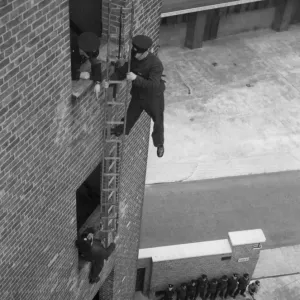 Prints of Ladder London Fire Brigade: Ladders