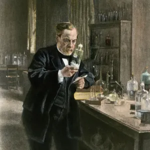 Louis Pasteur in his laboratory Print
