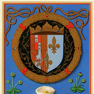 Marguerite de Navarres coat of arms