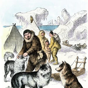 Working Jigsaw Puzzle Collection: Canadian Eskimo Dog