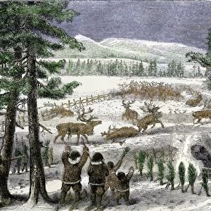 Native Americans herding reindeer in Alaksa