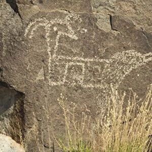 Petroglyph of the Jornada-Mogollon culture, NM
