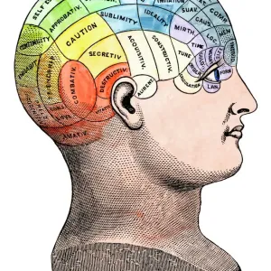 Hand-colored woodcut print of a Phrenological head model Hand-colored woodcut print of a Phrenological head model
