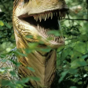 Allosaurus Model Print at the National Zoo, Washington DC