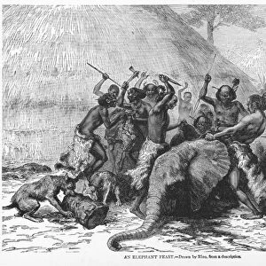 AFRICA: KHOIKHOI. Members of the Khoikhoi ( Hottentot ) tribe at an elephant feast. Wood engraving, 19th century