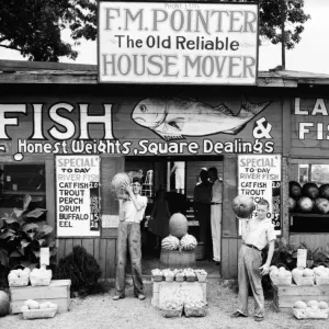 Fishes Collection: I