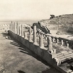 ALGERIA: ROMAN RUINS. Ruins of a Roman theater at Timgad, Algeria