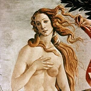 Renaissance art Photographic Print Collection: Famous works of Botticelli